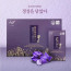 [혜인담] 홍삼담은 구증구포 흑도라지청 10ml X 30포